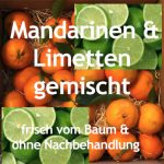 5 oder 10 KG - Frische Mandarinen & Option Limetten