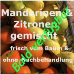 5 oder 10 KG - Frische Mandarinen & Option Zitronen